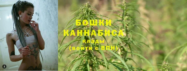 бошки Белокуриха