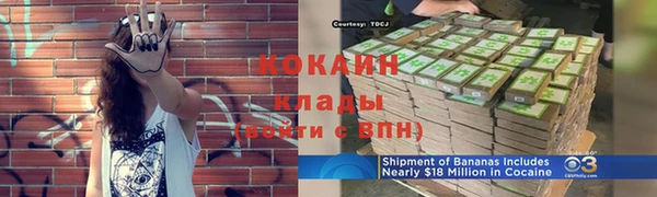 бошки Белокуриха