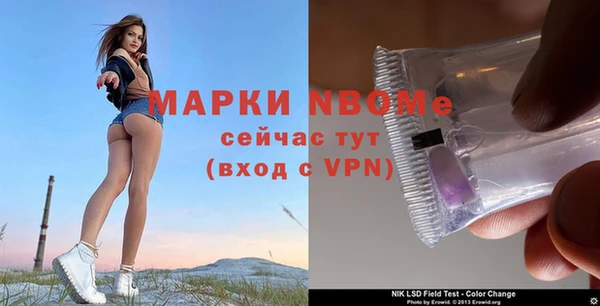 бошки Белокуриха