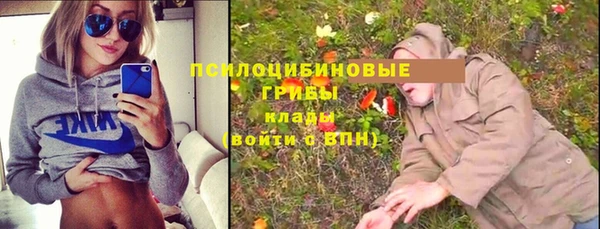 бошки Белокуриха