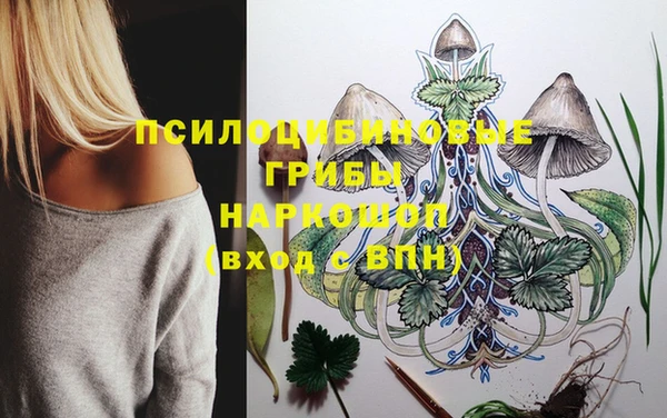 бошки Белокуриха